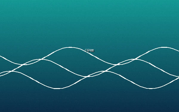 CBA篮球联赛比赛